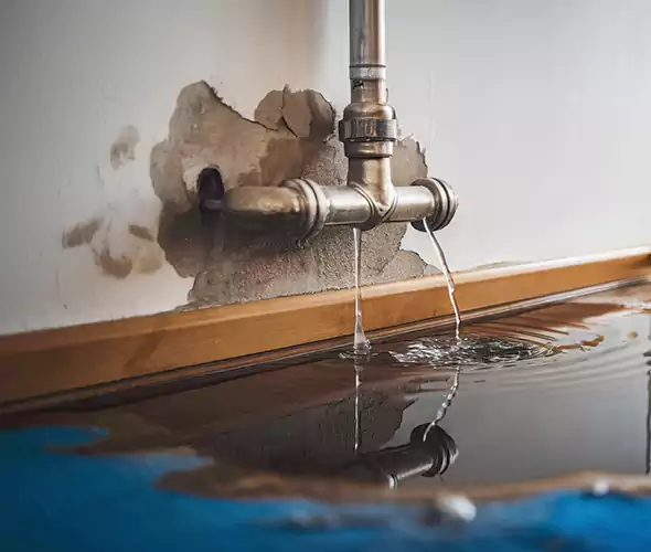 Professional Water Damage Restoration Experts in West Little River, FL — Fast, Reliable & Certified