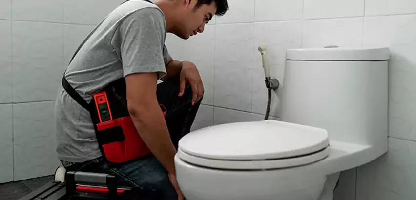 Toilet Repair in West Little River