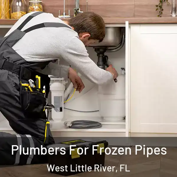  Plumbers For Frozen Pipes West Little River, FL