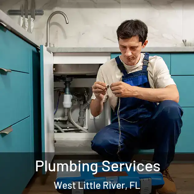Plumbing Services West Little River, FL