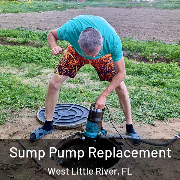  Sump Pump Replacement West Little River, FL