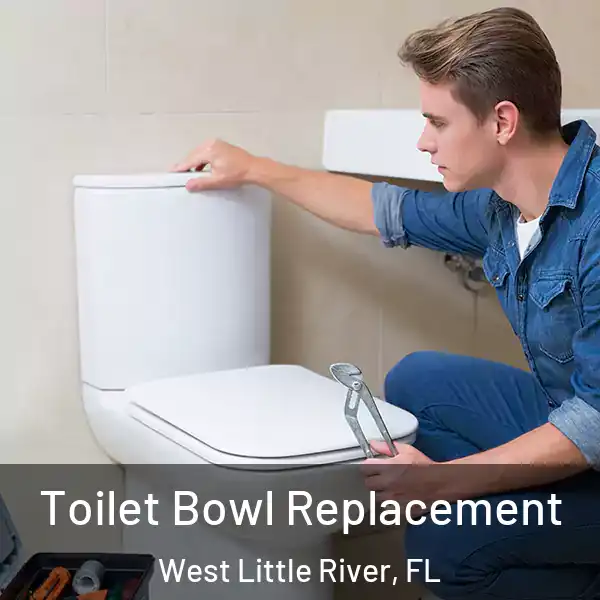  Toilet Bowl Replacement West Little River, FL